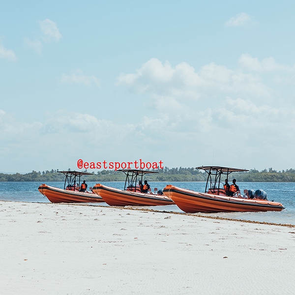 Rigid inflatable boat 760cm25ft for embassy patrol use  - copy