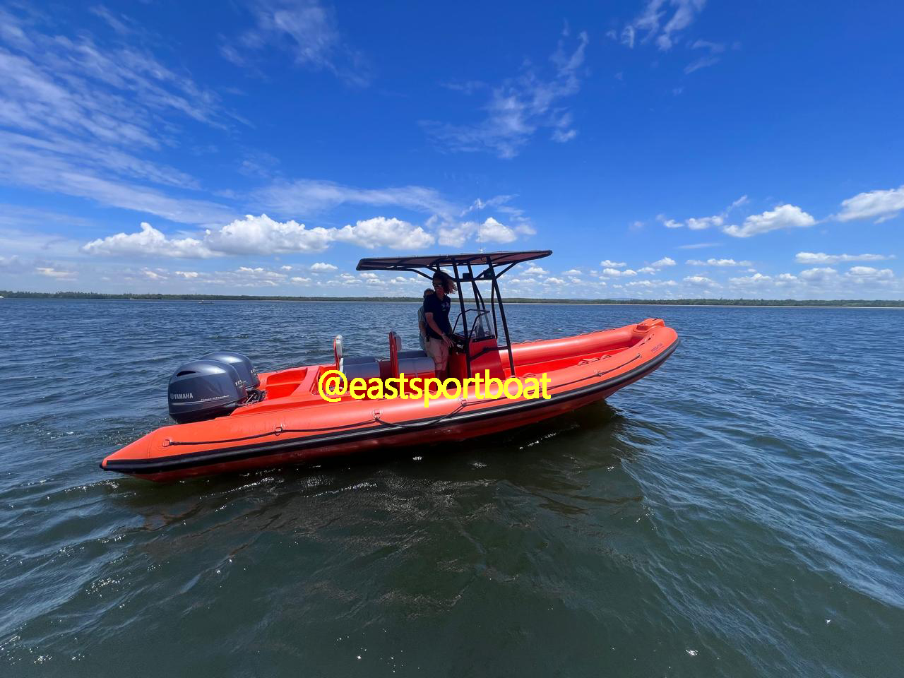 Rigid inflatable boat 760cm25ft for embassy patrol use